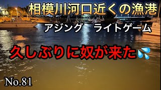 【相模川河口近くの漁港】根掛かりじゃ無かった