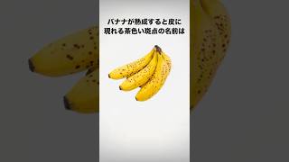 【正解率1%】意外と知らない“アレの名前\