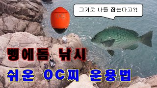 초보조사님들을 위한 벵에돔낚시 0C찌 쉬운 운용법과 이해