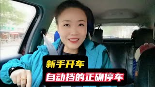 新手开车，自动挡的正确停车方法步骤。