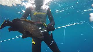 Καλοκαιρινα ψαρεματα 2020---Spearfishing moments--SUMMER 2020--GREECE SPEARFISHING---