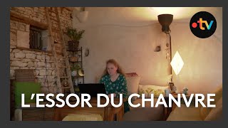 Le chanvre, une filière en plein essor