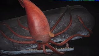 കടലിനടിയിലെ 18 ഭീകര ജീവികൾ | Ocean Giants