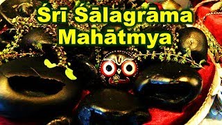 Salagrama Mahatmya | Wonderful Glories of Salagrama Sila