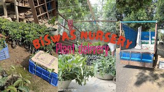 all India genuine plant supplier @biswasnursery2480 #indianfarmer #kolkatanursery #biswasnursery