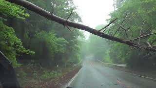 TOYOTAビィツで、雨降りに、本宮山スカイラインをドライブしてみた。