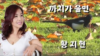 가수-황지현 노래-[까치가 울면]