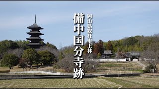 【岡山観光地】 総社市・備中国分寺 紹介 4K空撮