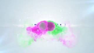 2577 -  Particles Logo reveal smoke colorful intro animation