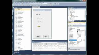 Visual Basic RadioButton