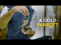 A Gold Parrot? | It Happens Only in India | National Geographic