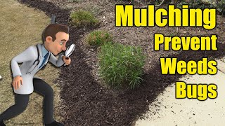 Mulching Beds and Gardens