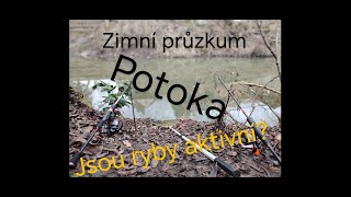 EP. 3 Potok. Zimní průzkum! Jsou ryby vůbec aktivní?