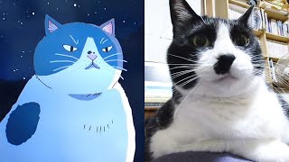 顔の塗分けと体格はアキラそっくり。アニメ かなしきデブ猫ちゃん