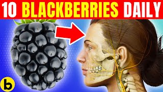 Eating 10 Blackberries Every Day Will Do This To Your Body