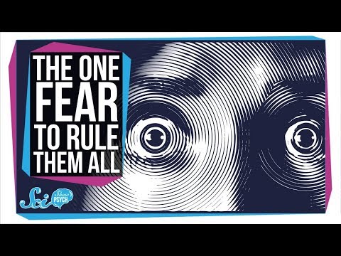 What are the six basic human fears?
