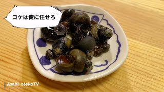 コケ退治のプロフェッショナル導入 【ヒメタニシ 】【アクアリウム】