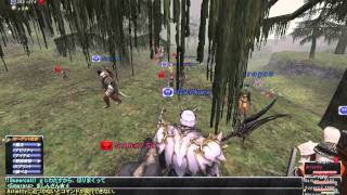 FF11 バリスタ　鞄　公式　森　20110521 part3