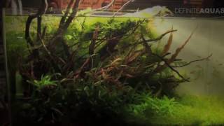 6th Silesian Aquarium Weekend 2014 pt 3   Planted aquariums at the far right side of the hall