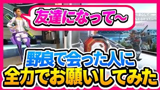 野良で出会った味方に友達になって欲しいと全力でお願いしてみた結果…【大久保ピネ子】