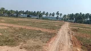 YSR Jagananna Colony, Devarapalli Village, Ravulapalem Mandal.