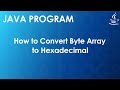 Java Program to Convert Byte Array to Hexadecimal | Java Examples