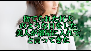 ずぶ濡れで、捨てられた仔犬のような目をした美人を部屋に入れた