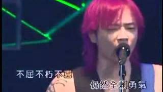 beyond-打不死 LIVE IN 2003