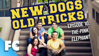 New Dogs, Old Tricks | Season 1 Episode 10: The Pink Elephant | Full HD Comedy TV Show | FC