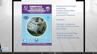 EEC presents at the intergovernmental IRENA (IRELP) Webinar - Skills Needs in Renewable Sector