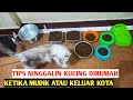 TIPS MENINGGALKAN KUCING SENDIRIAN DIRUMAH KETIKA MUDIK