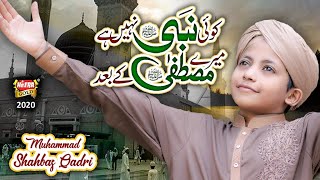 Muhammad Shahbaz Qadri || Koi Nabi Nahi Hai Mere Mustafa Ke Baad || New Naat 2020 || Heera Gold