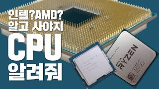 인텔 vs AMD 라이젠 뭐가 다를까? CPU에 대해 간략히 살펴보자! 컴퓨터 조립전 반드시 봐야하는 영상!