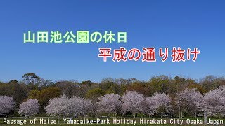 平成の通り抜け　山田池公園の休日　枚方市2019 Passage of Heisei Yamadaike-Park Holiday Hirakata City Osaka Japan