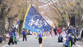 舞鈴光 📍富岡町桜まつり (桜並木会場/午前の部) 2023-04-09T10:10