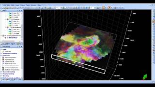 Petrel Software: Spectral Decomposition Attribute Display