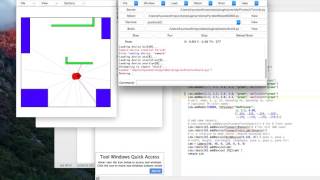 임현수 pyrobot example