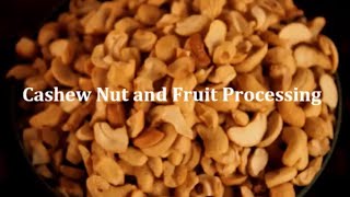 Cashew Nut and Fruit Processing | Peace Corps Ghana