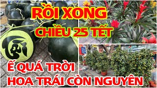 RỒI XONG CHIỀU 25 TẾT Ế QUÁ TRỜI HOA TRÁI CÒN NGUYÊN