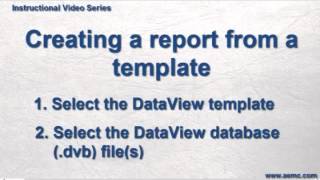 AEMC Instruments DataView Reports