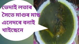 ভেদাই লতাৰ সৈতে মাগুৰ মাছ এনেদৰে বনাই খাইছেনে।ভেদাই লতা বেয়া পোৱা সকলে বনাই খাই চাব।