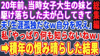 【スカッと☆総集編】20年前、女子大生の妹と駆け落ちした夫「子供が大学受かったぞｗお前は孤独な人生だな」私「何も知らないのね」→夫に20年間の出来事を話すと…w【修羅場】