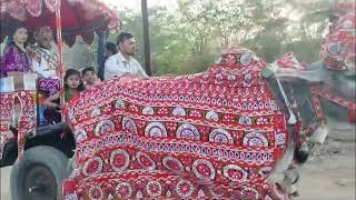 Ahir samaj kutch પ્રાચીન પરંપરા લગ્ન પ્રસંગ #babuahir #babuahir2024 #folkdance  #video #viralvideo