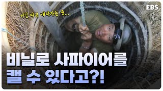 사파이어 드림, 일라카카!  돈을 벌기 위해 사파이어 광산으로 모여든 사람들. 안전장비도 없이 비닐만으로 광부 활동을 한다?