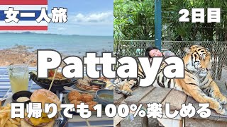 【タイ旅行】日帰りでパタヤを完全攻略🇹🇭