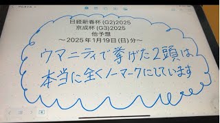 日経新春杯(G2)2025・京成杯(G3)2025他予想ｰ2025年1月19日(日)分