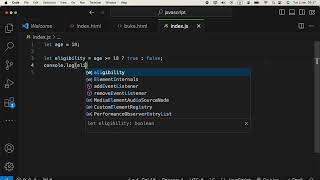 Ternary Operator in JavaScript (Conditional Operator) - Understand with a Example