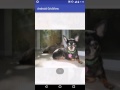 Android Gridview Tutorial using Android Gridlayout Example