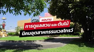 ผลงานการดูแลสวน และ ปรับปรุงภูมิทัศน์ นิคมอุตสาหกรรม Wellgrow industrial Estate