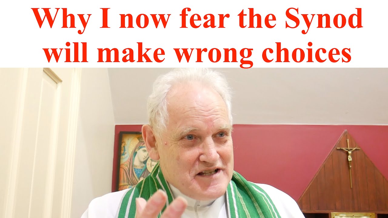 I found recent talk by Pope Francis troubling